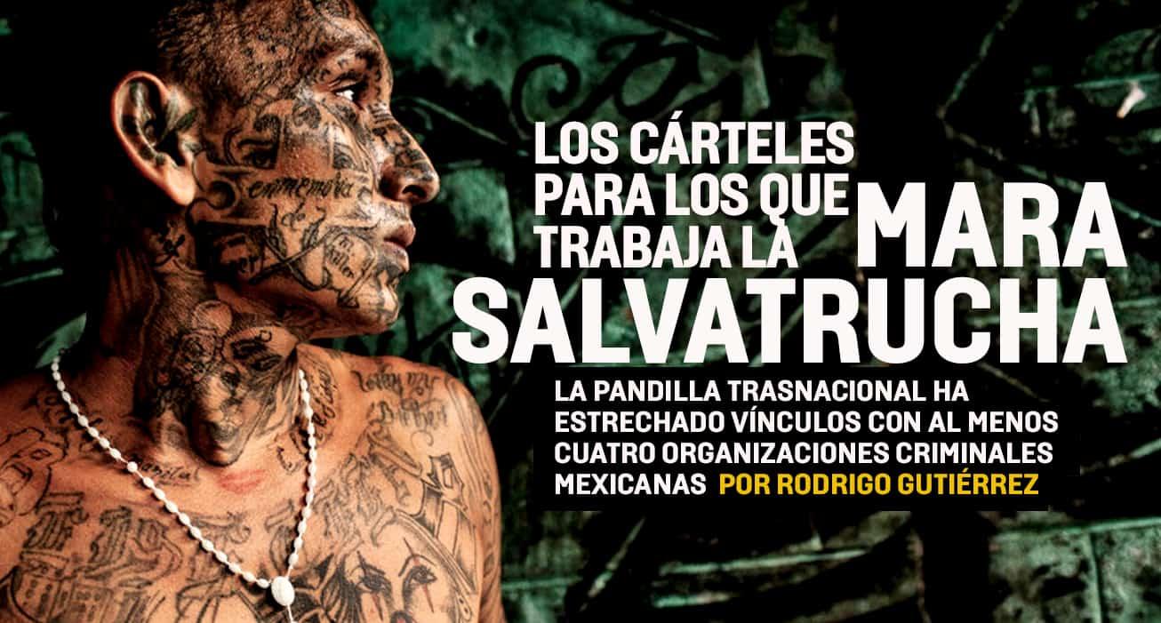 ¿Para cuáles cárteles trabaja la Mara Salvatrucha?