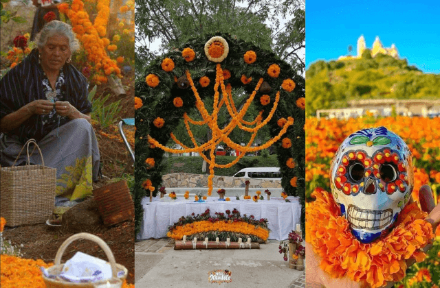 Altar de muertos: esto significan cada uno de los elementos de la ofrenda
