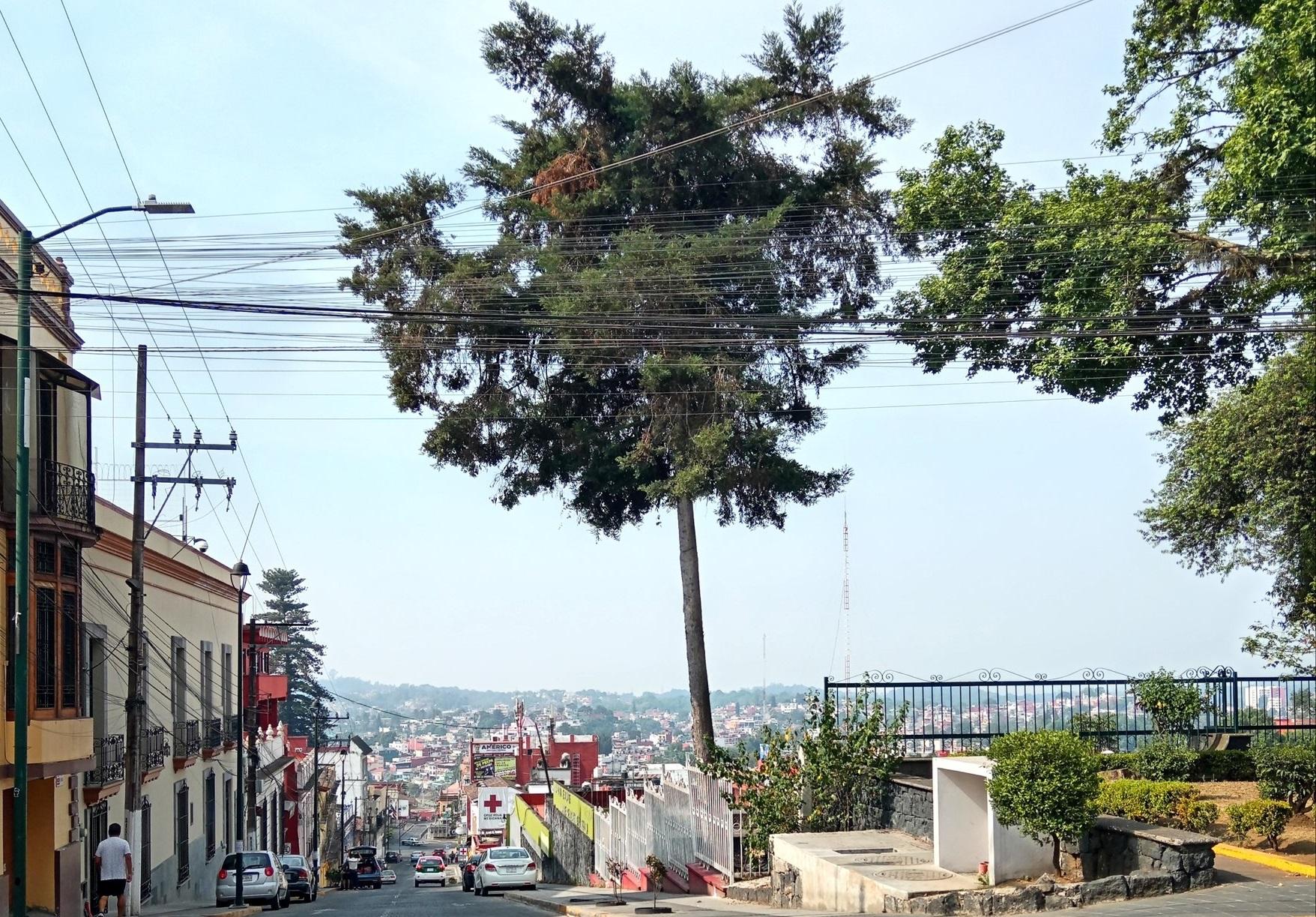 Clima papantla clearance