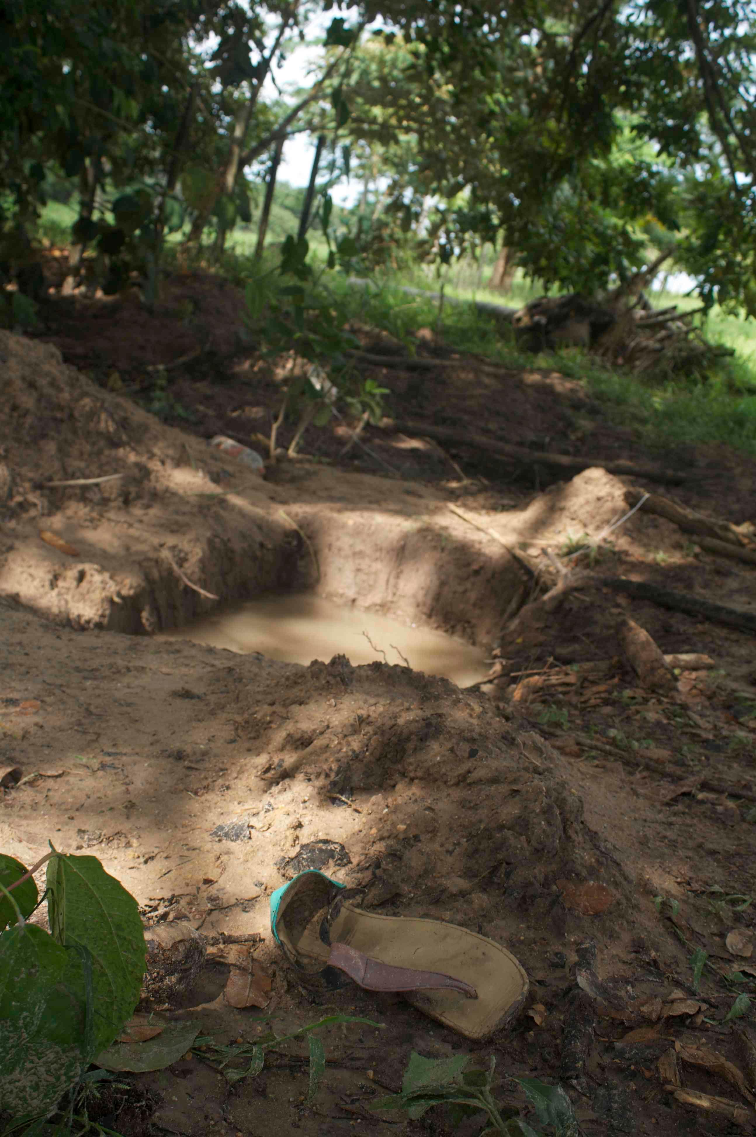 Rancho El Diamante, un santuario a la muerte en Veracruz everacruz.mx