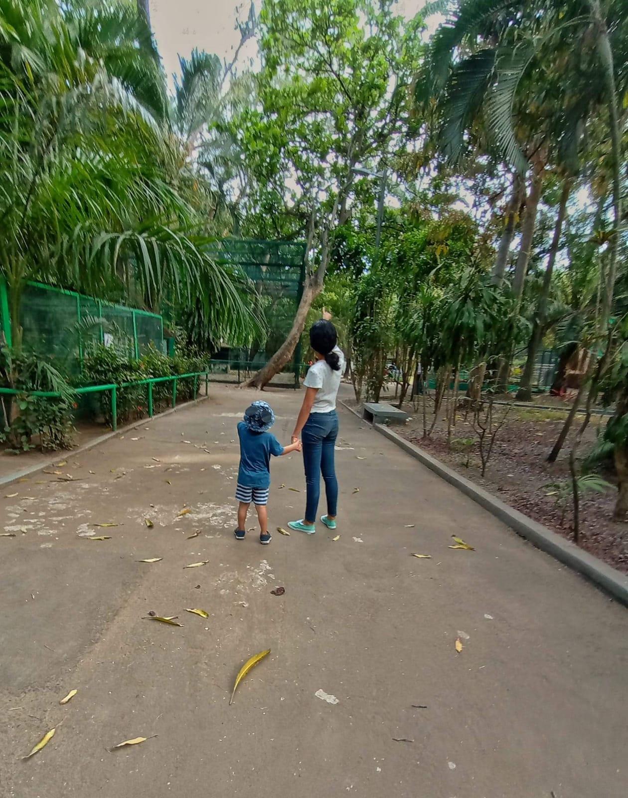 La escuela no sabía nada: Madre acusa a kínder de perder a su hijo en Veracruz