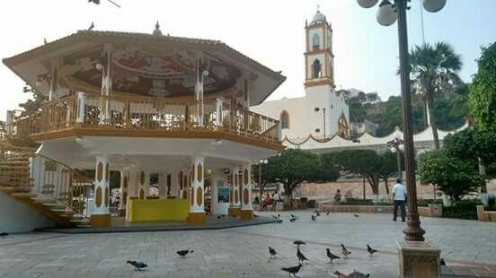 Afean el parque: Alcalde de Papantla llama plaga a ardillas y perros
