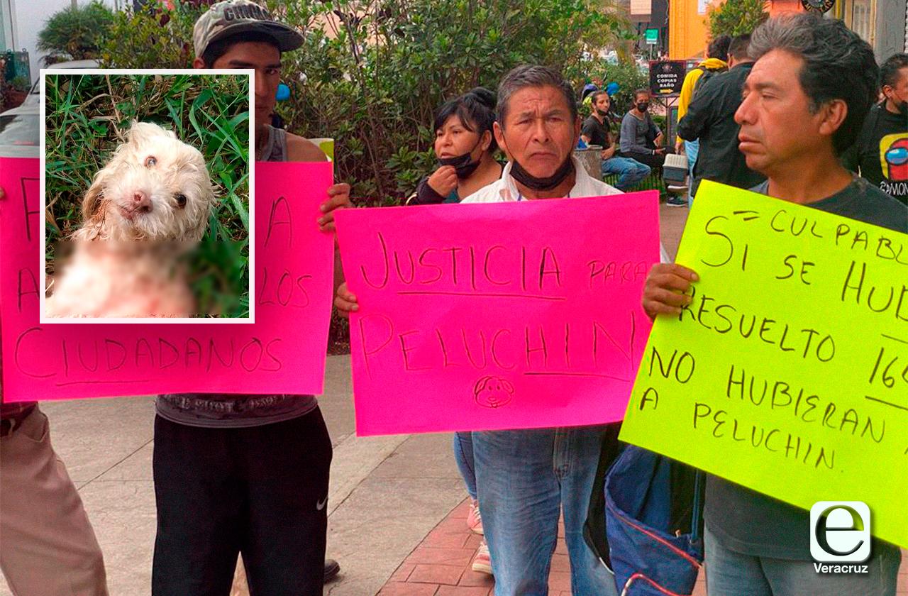 Matan a ”Peluchín” a machetazos en Banderilla; piden justicia a FGE