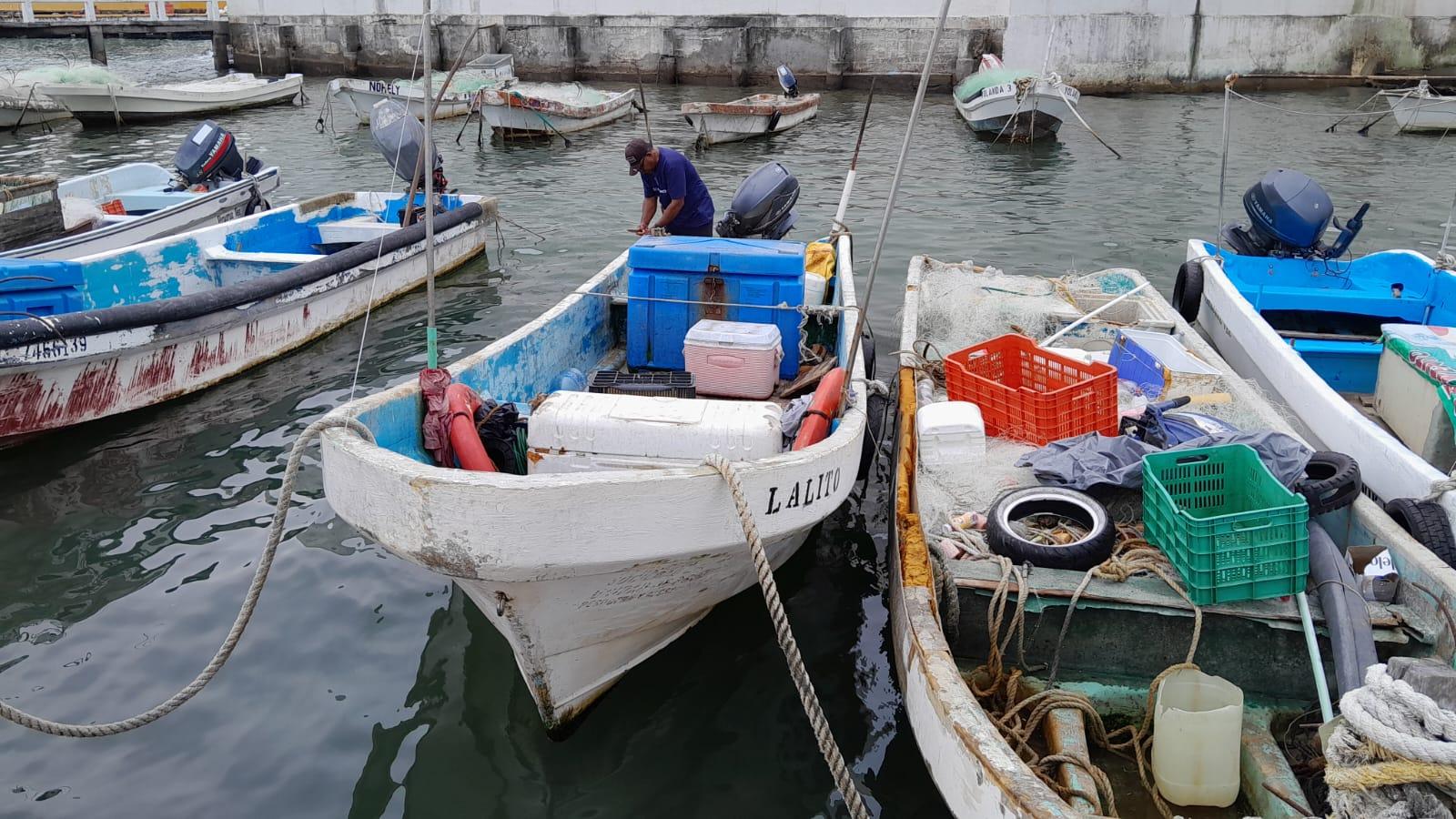 Cae producción pesquera en Veracruz; alertan por calentamiento global |  e-veracruz.mx