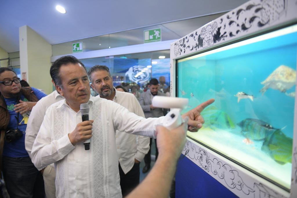Así quedará el Aquarium de Veracruz con el lobario y nuevas áreas