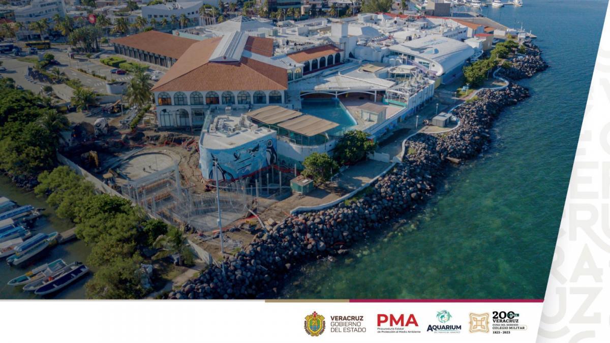 Así quedará el Aquarium de Veracruz con el lobario y nuevas áreas