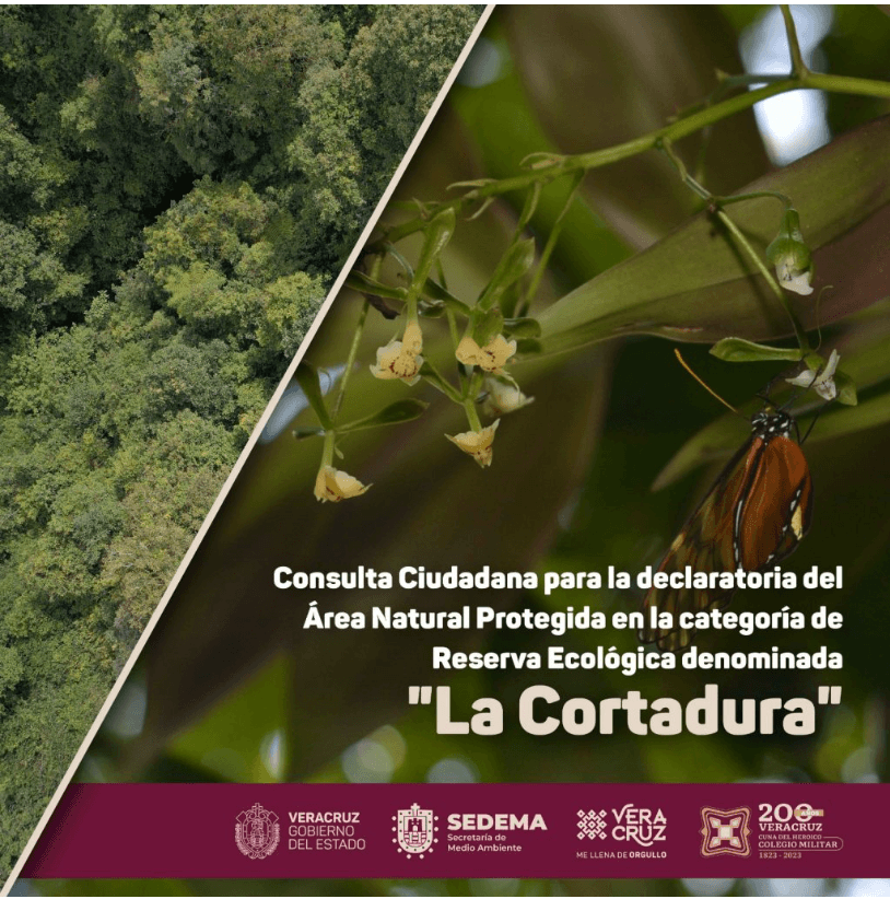 La Cortadura, en Coatepec, ya es Área Natural Protegida