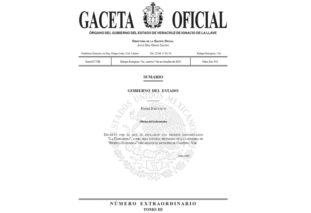 La Cortadura, en Coatepec, ya es Área Natural Protegida