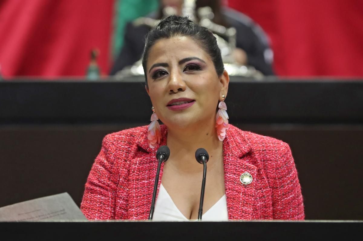 Ellos son los 11 diputados federales pluris electos de Veracruz
