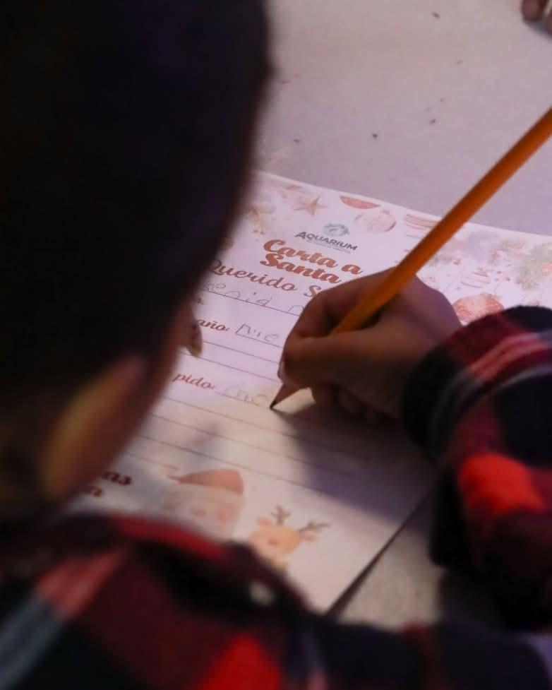 Así sorprende Santa Claus bajo el agua en Veracruz