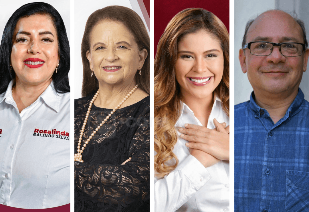 Morena vs la oposición: los aspirantes a la alcaldía de Xalapa