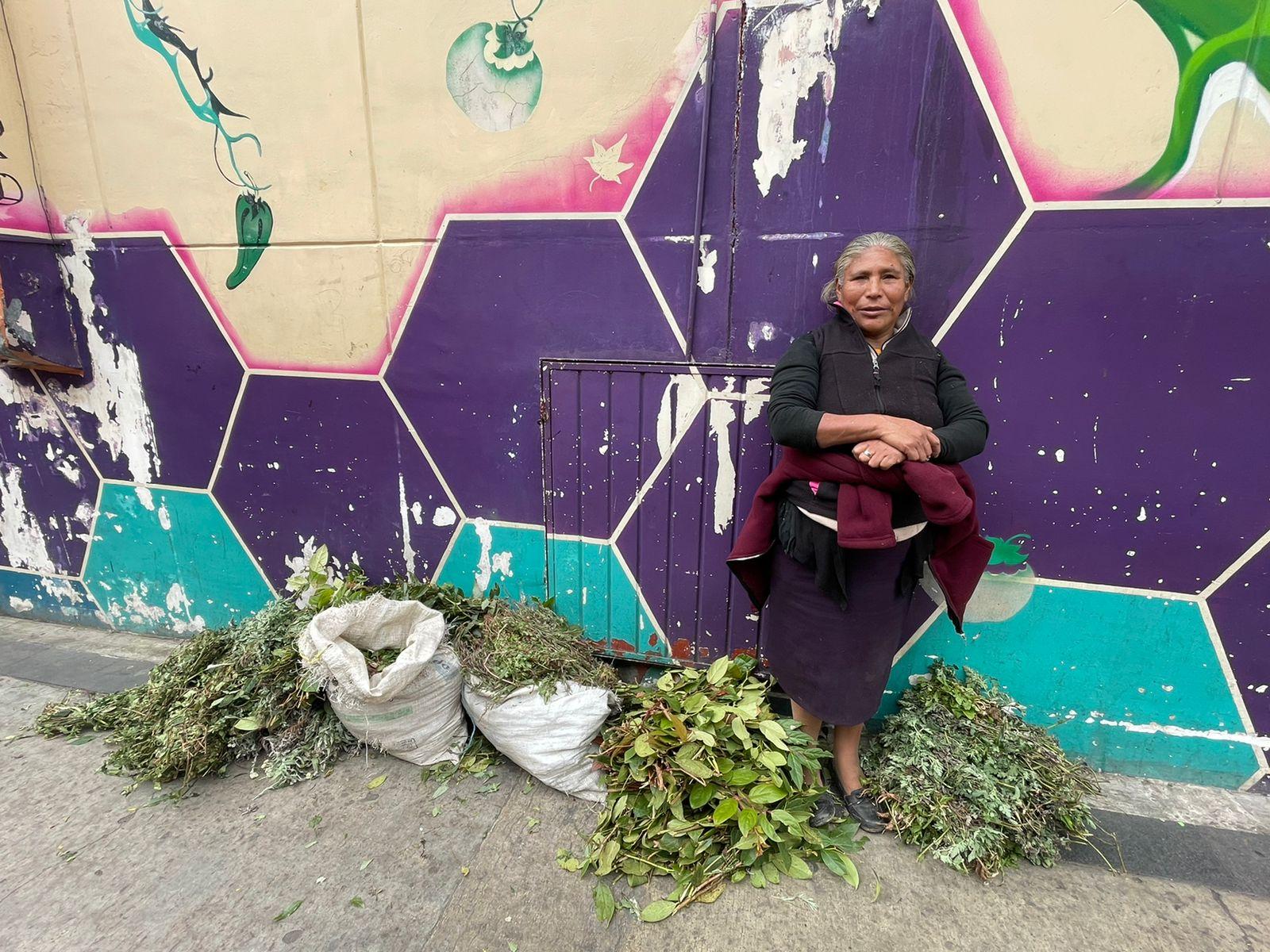 Angélica y Benita: Marchantas en Xalapa, en crisis y clandestinidad