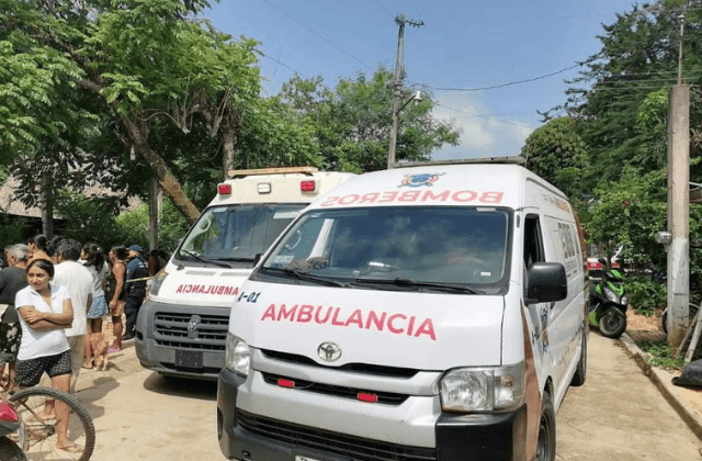 Hombre muere tras caer de una palma de cocos al sur de Veracruz