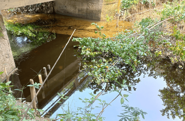Ecocidio en Las Choapas: reportan 2 derrames de hidrocarburo en río 