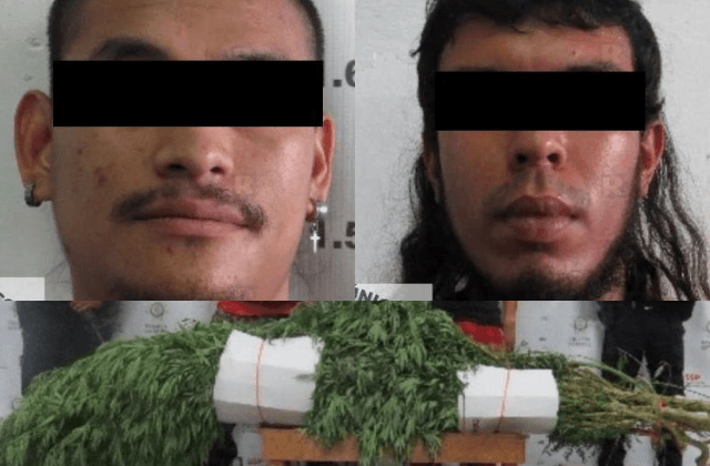 Con ramas de marihuana fresca, detienen a 2 hombres en Córdoba