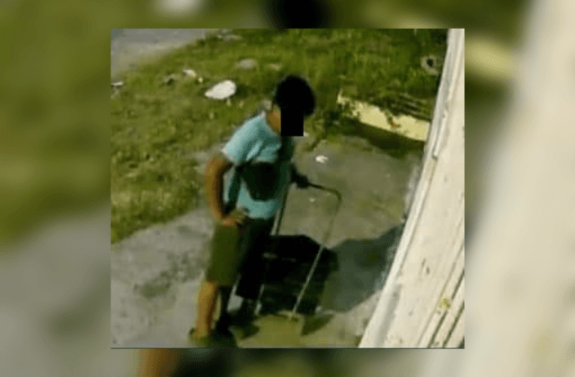 Menor es captado en vídeo aventando gatos en Veracruz; lo acusan de matarlos