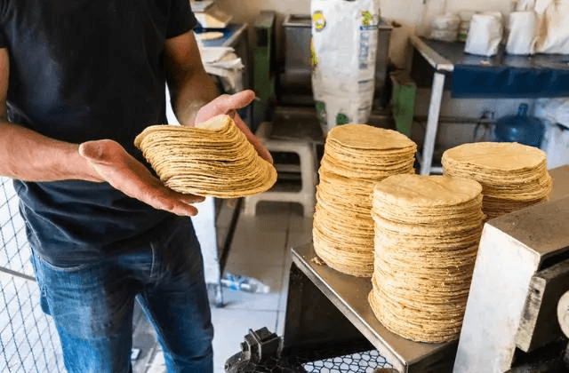 ¿Subirá el precio de la tortilla en Veracruz para 2023? Esto se sabe