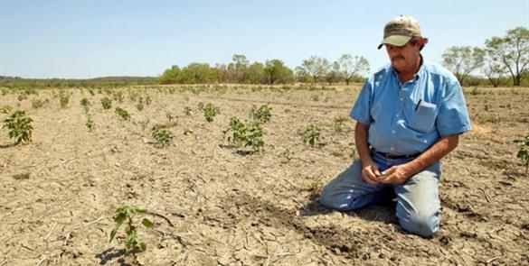 El dinero para la agricultura en “destinos oscuros”: Víctor Villalobos 