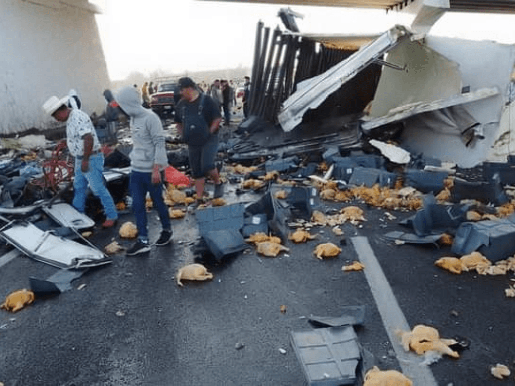Muere chófer tras volcarse tráiler con pollo en la carretera Veracruz-Puebla