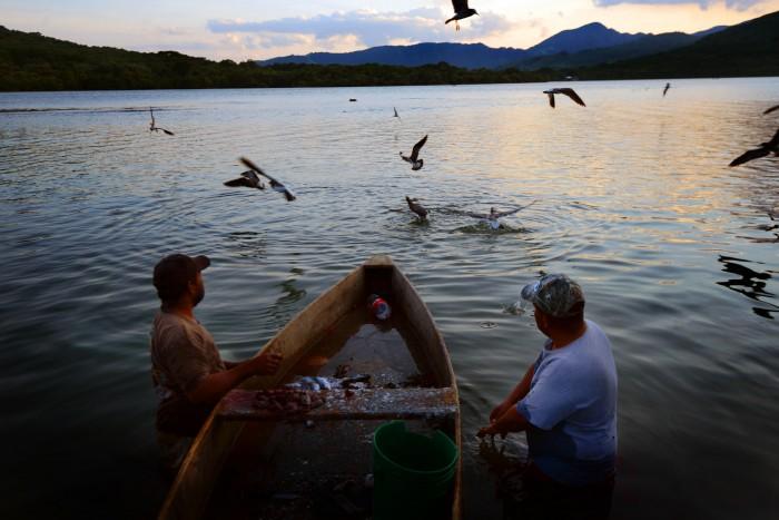 La Paila: el proyecto minero que amenaza corredor de aves y sitio ramsar
