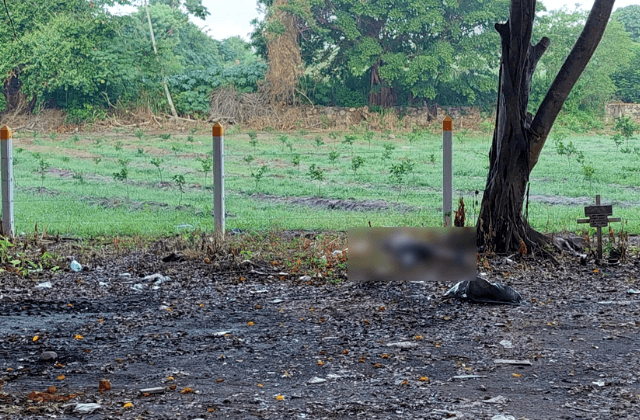 Abandonan cadáver en zona rural de Martínez de la Torre