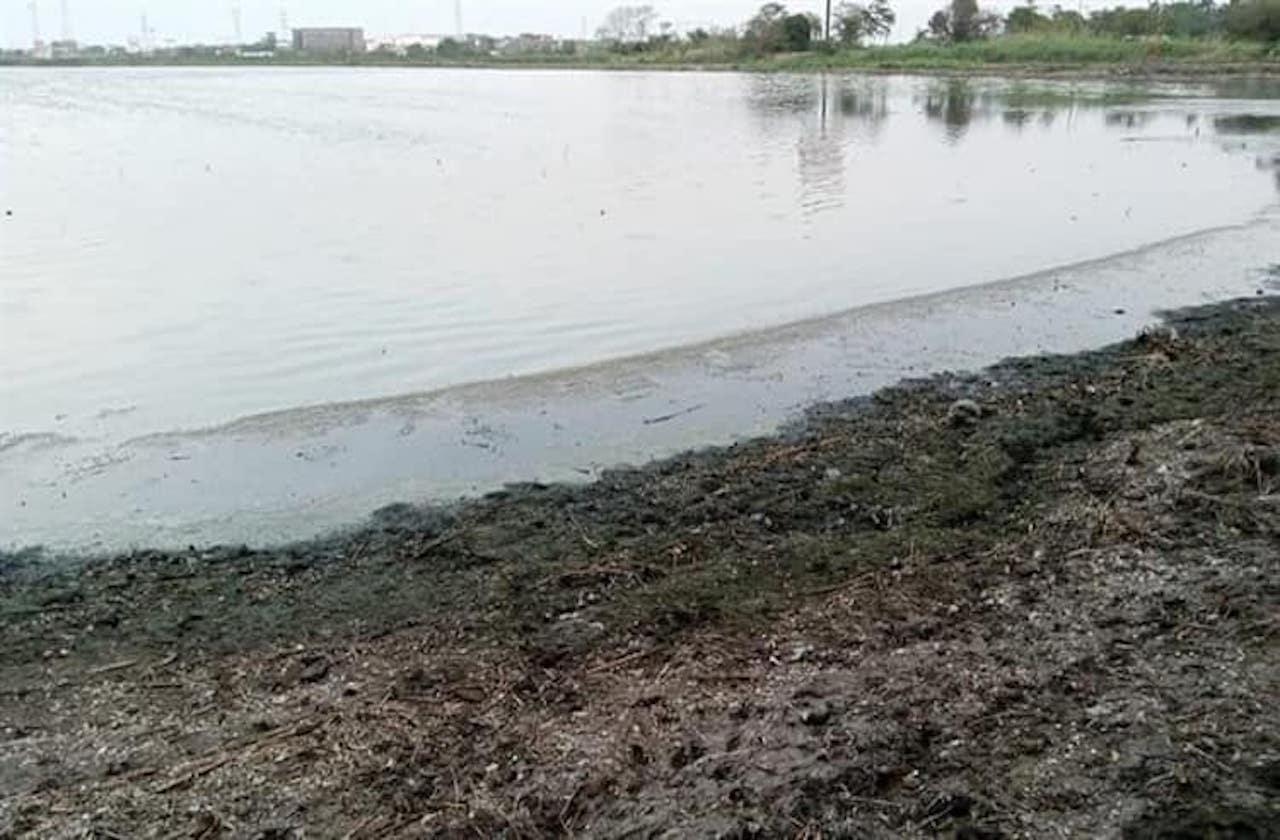 Advierten disminución de agua en Laguna Olmeca de Veracruz