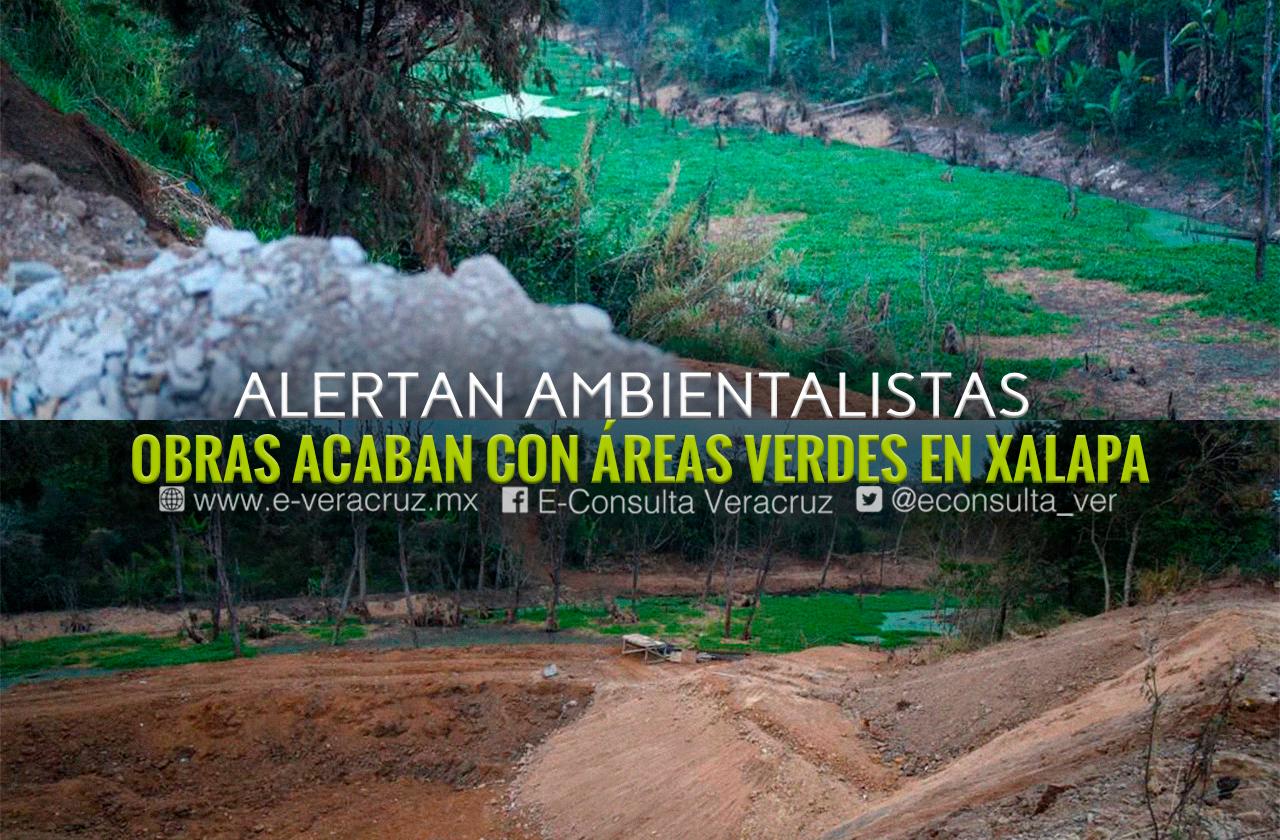 Destrozan áreas verdes: alistan predios para más obras en Xalapa 