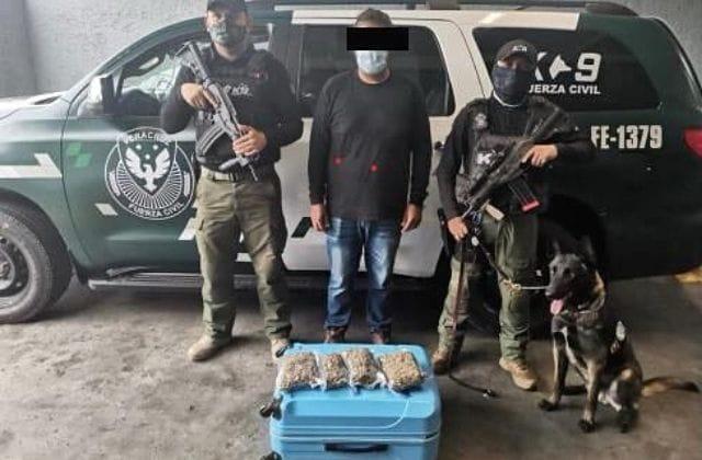 Sorprenden maletas con marihuana en ADO de Xalapa y Veracruz