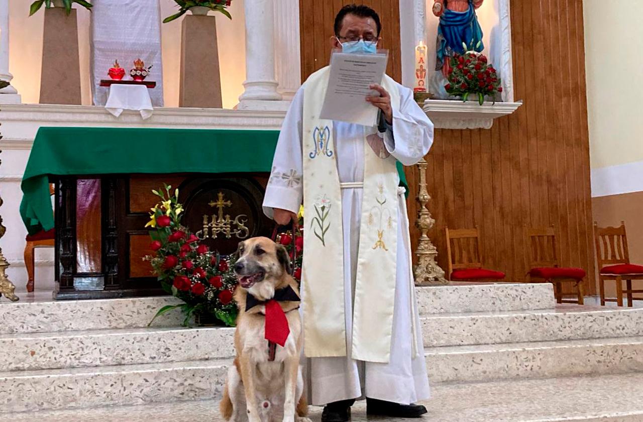 Bendición de mascotas en Xalapa fue presencial