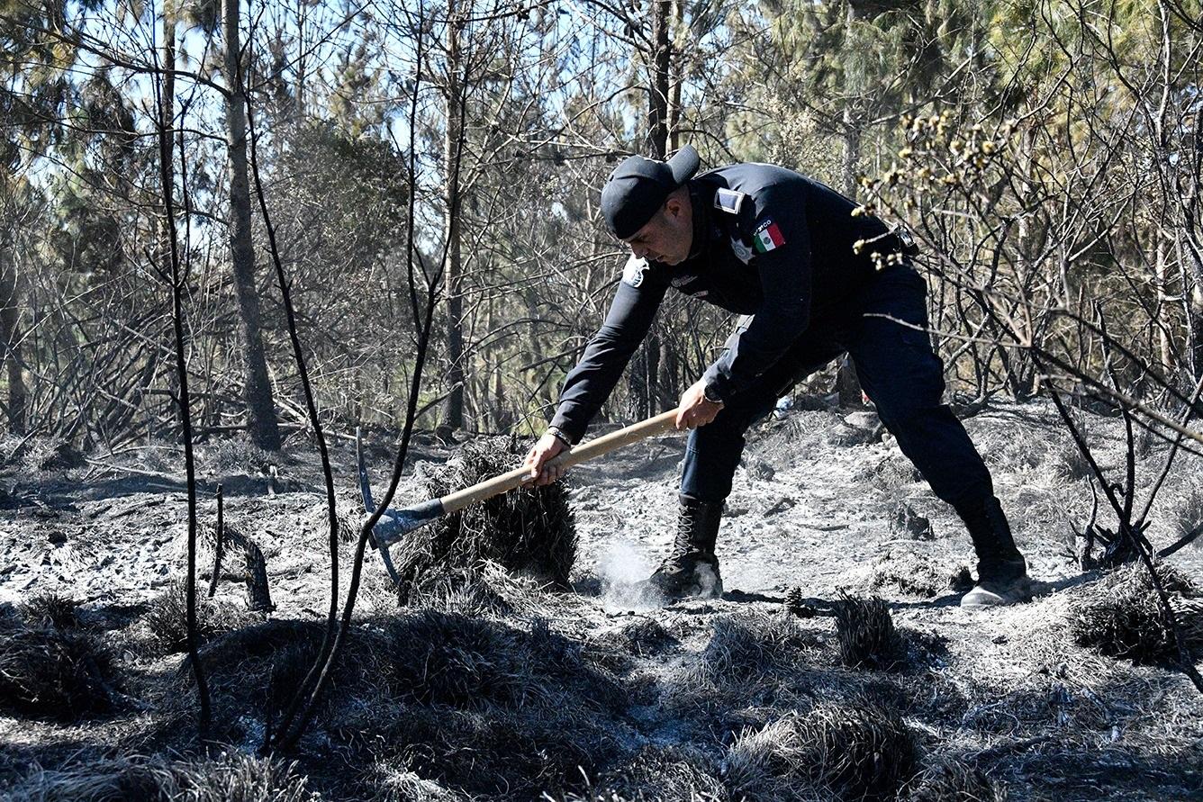 Incendios forestales devastan más de 470 hectáreas en municipios de Veracruz