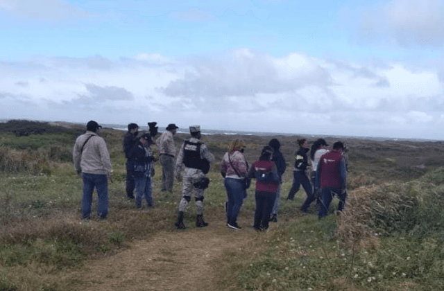 Se unen colectivos para búsqueda masiva en 8 hectáreas en Coatza