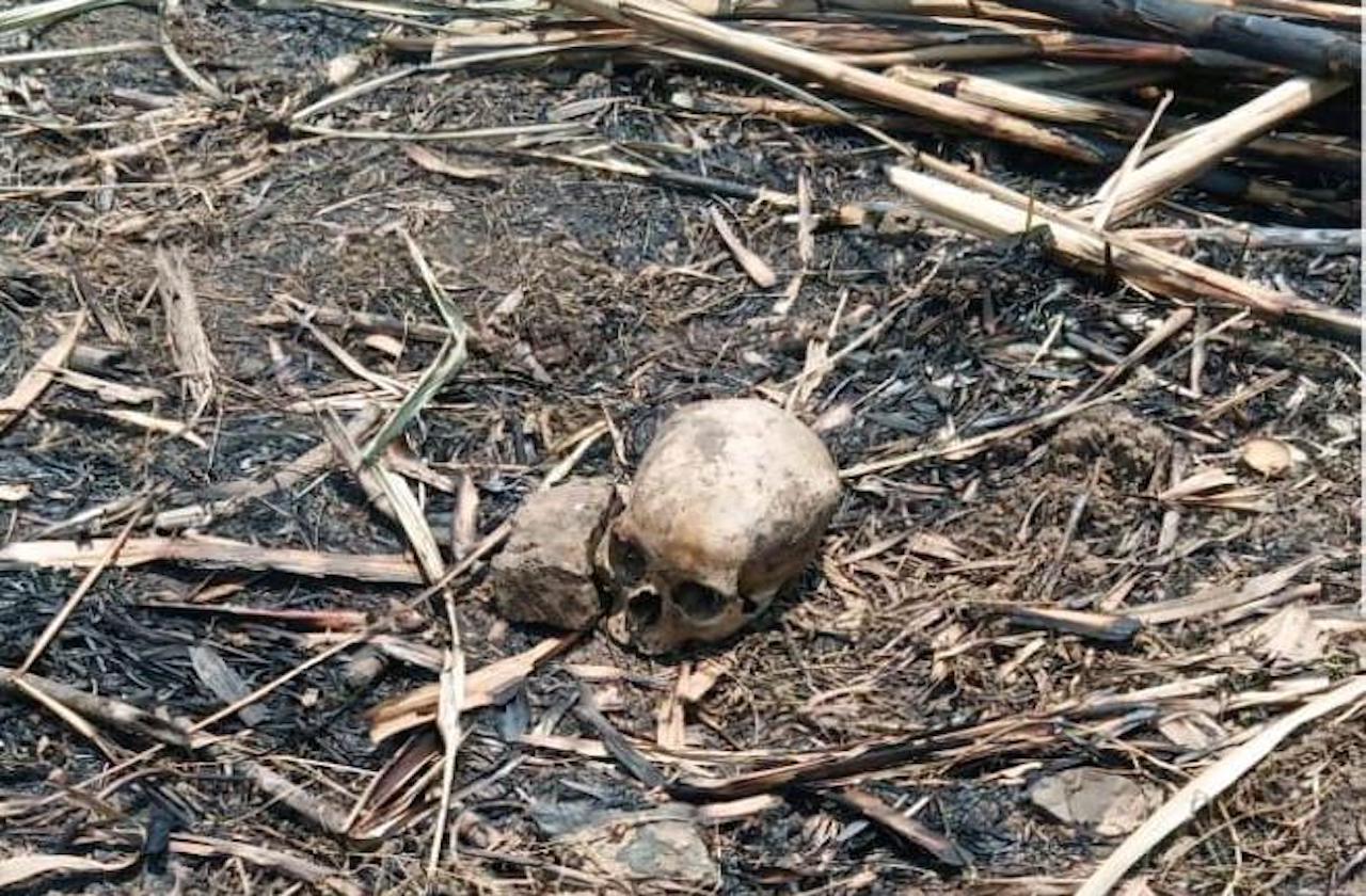 Campesinos hallan cráneo humano en cañales de Chocamán