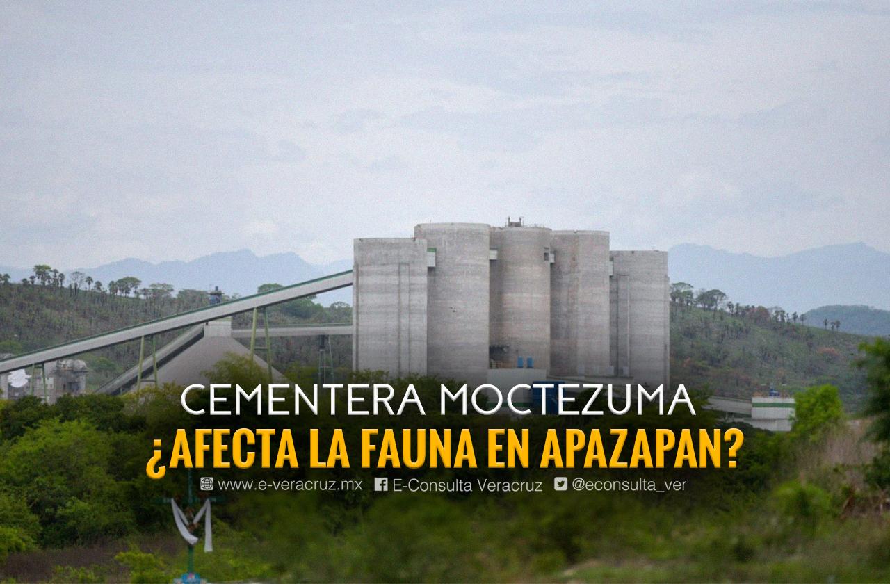 En Apazapan, acusan a cementera por daño ambiental y obras “hechizas”