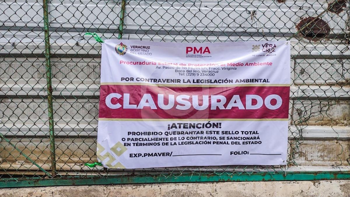 Hasta 2022, 50 chatarreras eran irregulares en el puerto de Veracruz