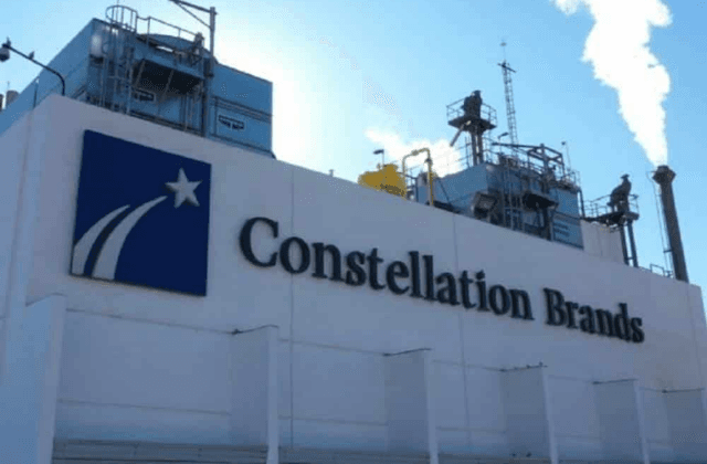 Cervecera Constellation Brands estará en Veracruz puerto: AMLO