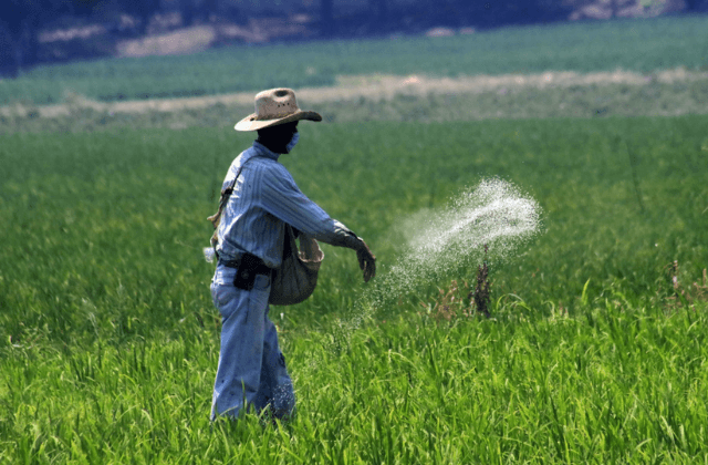 ¿Cuándo iniciará el programa de fertilizantes 2023 en Veracruz?