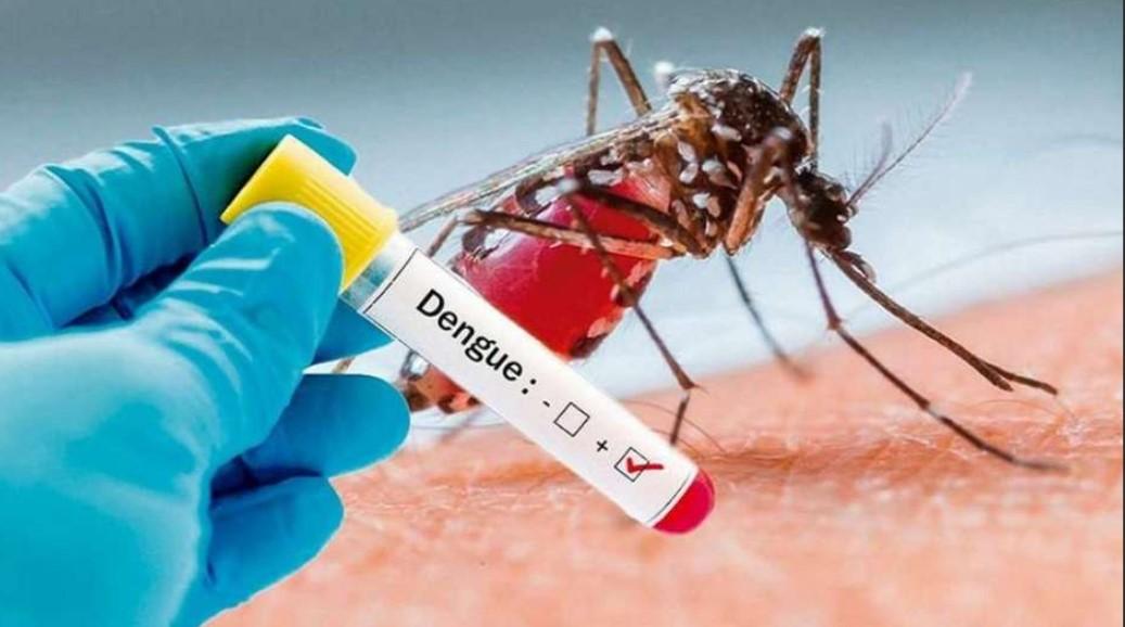 Aguas con el dengue: Veracruz, tercer estado con más enfermos