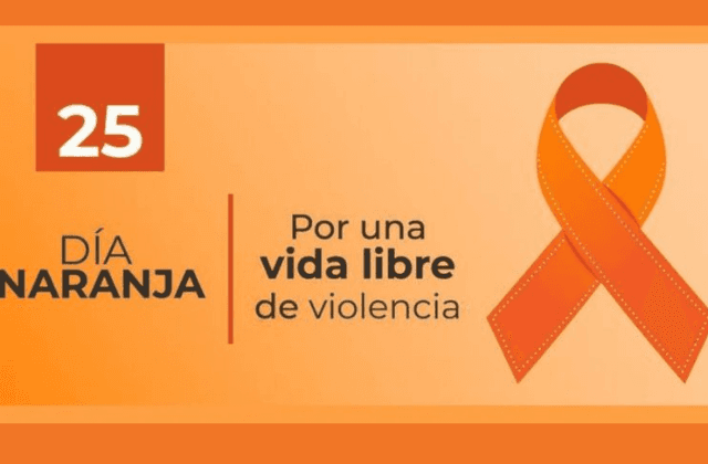 Día Naranja: ¿Cómo se conmemoran los 25 de cada mes en Veracruz?