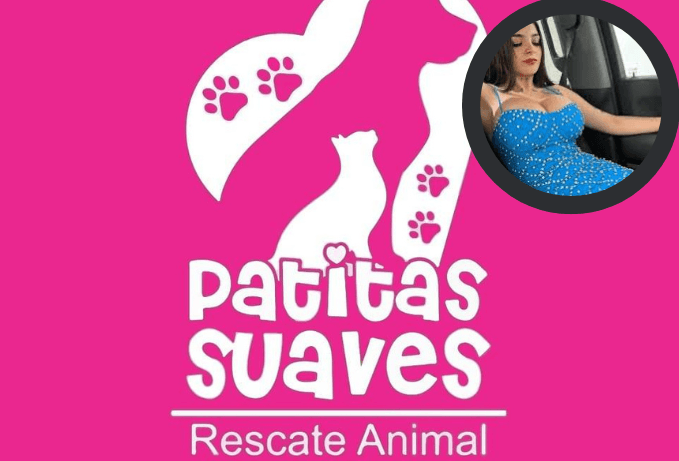Karely Ruiz dona 25 mil pesos para perritos de Xalapa