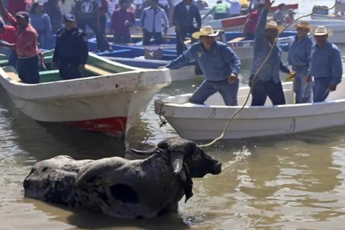 Tlacotalpan 2023: Estas son las multas por maltratar toros en La Candelaria 