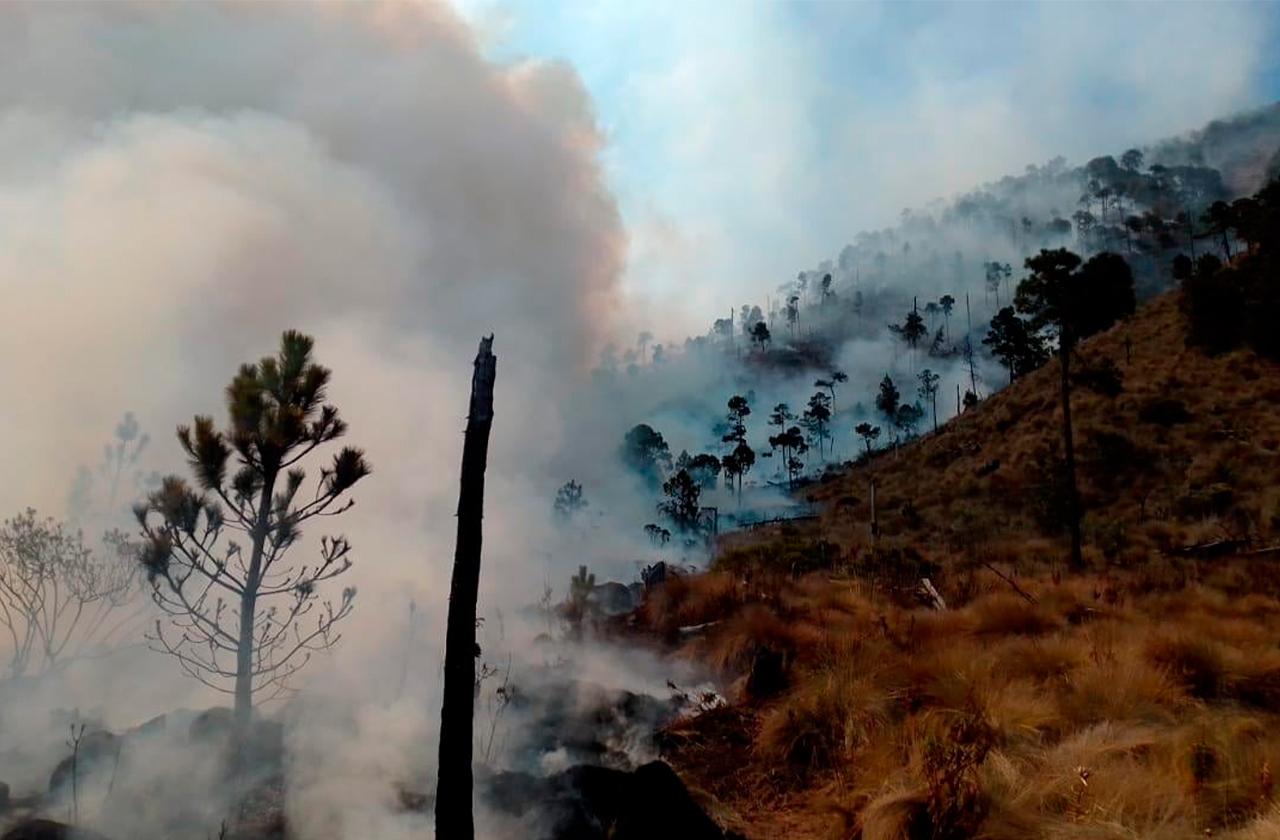Incendio consume más de 60 hectáreas en el Pico de Orizaba 