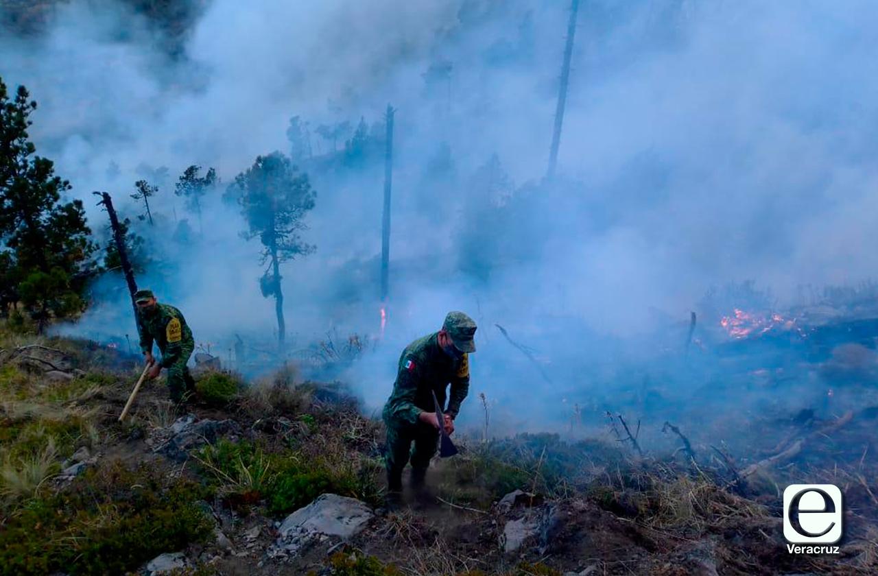 Incendio forestal en Pico de Orizaba consume más de 70 hectáreas
