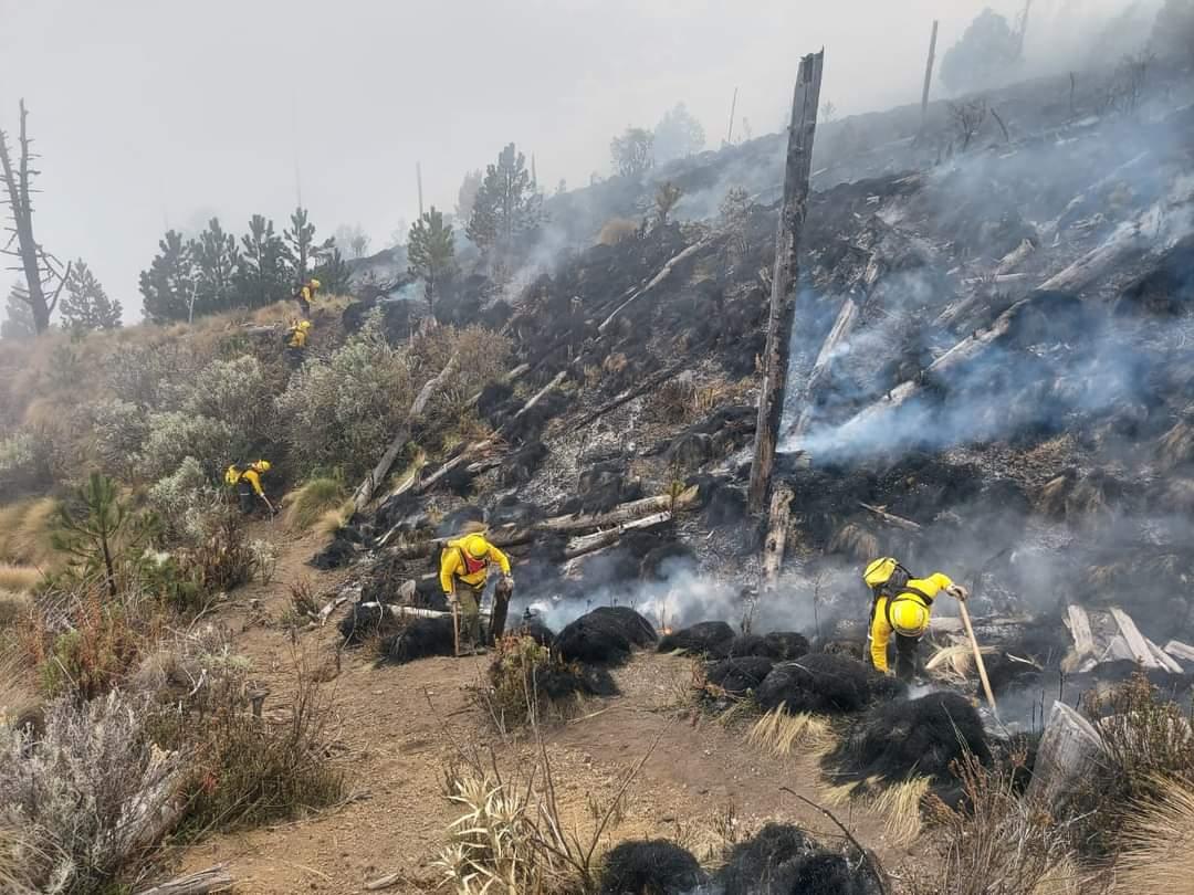 Incendios forestales: Veracruz entre los 10 primeros lugares a nivel nacional
