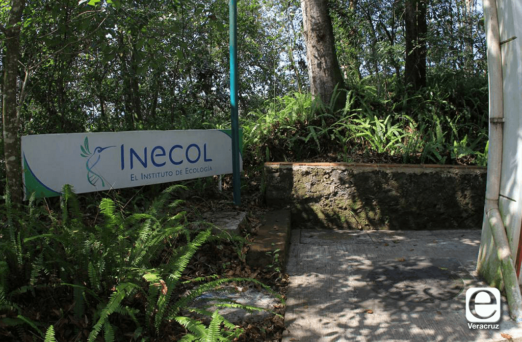 Inecol sufre recortes, exhortan a colaboradores a invertir 