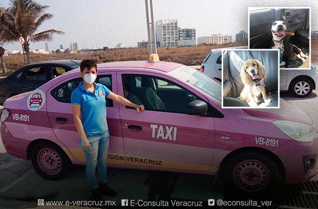 Lorena sobrevive a pandemia con su Taxi Pink Pet, en el puerto 