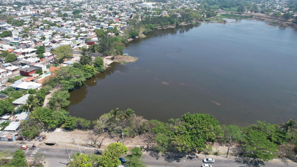 Animales regresan a Laguna Lagartos en Veracruz, tras limpieza