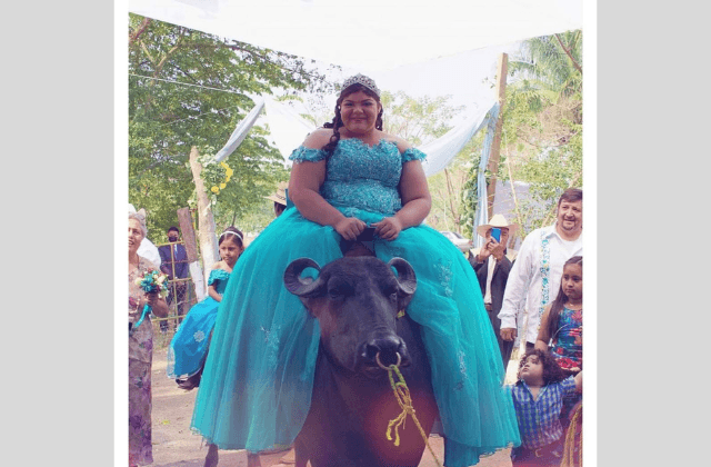 VIRAL: Quinceañera llega en un búfalo a su fiesta en Cosoleacaque
