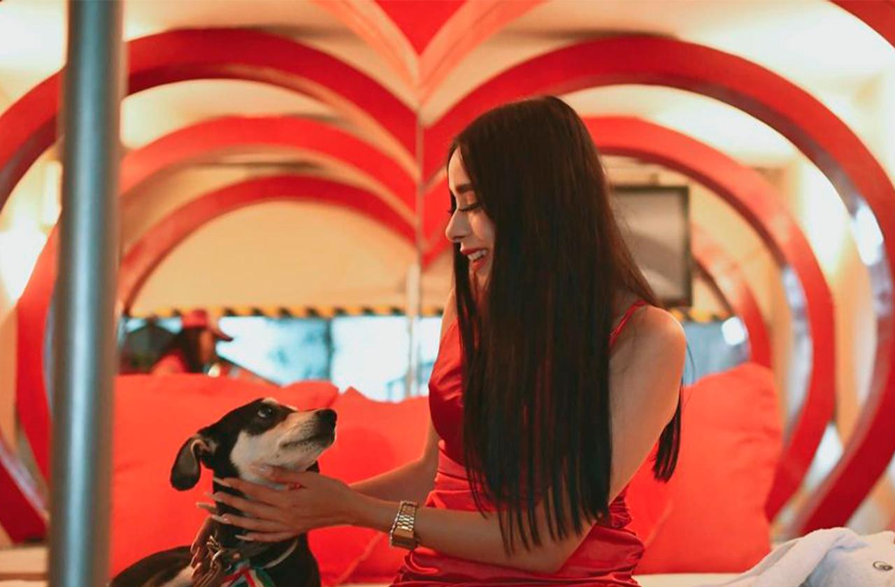 Moteles xalapeños cambian 'rapidín' por croquetas para perros
