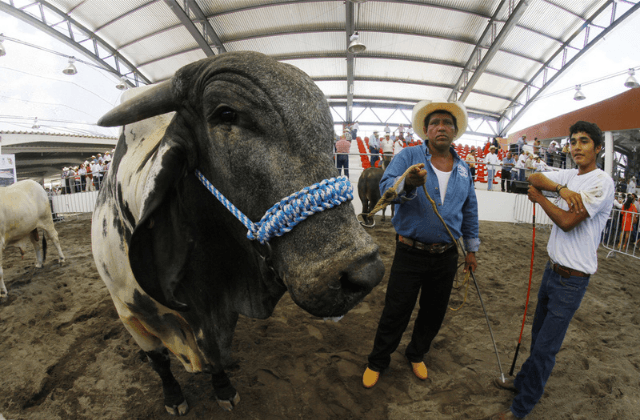No habrá Feria Ylang Ylang en Boca del Río. Esto se sabe