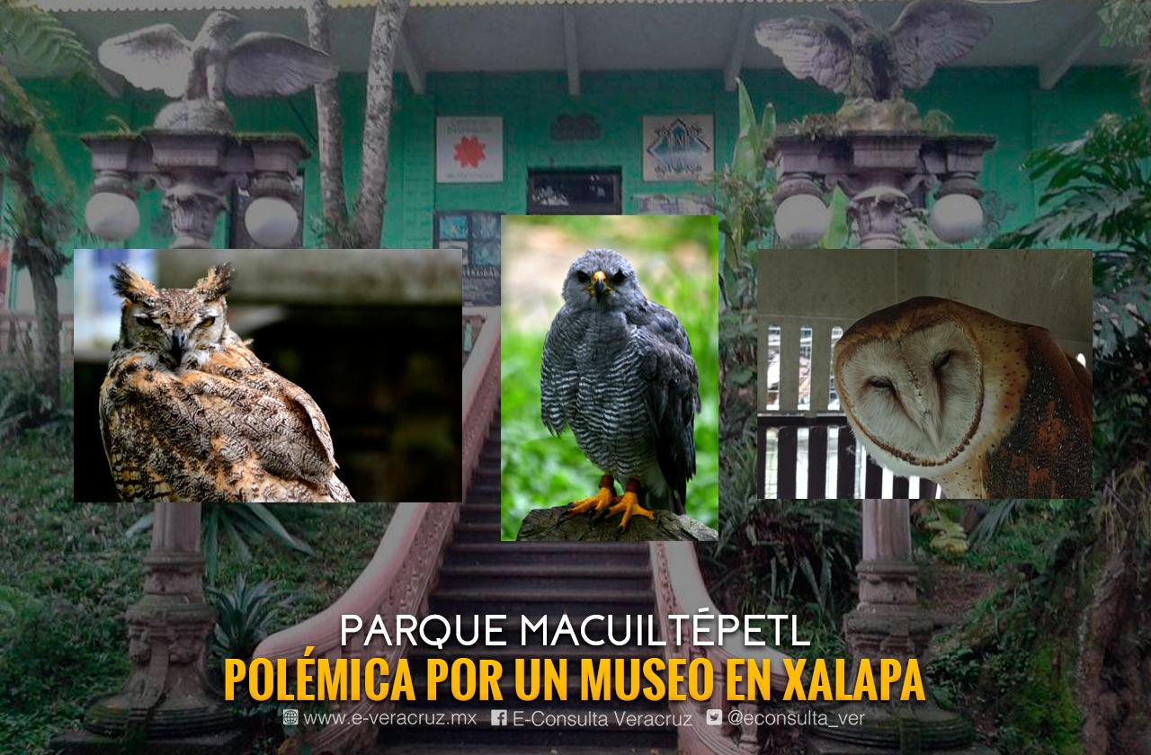 Museo de la Fauna: El ABC del conflicto en el cerro de Macuiltépetl